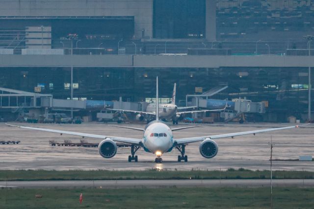 Boeing 787-8 (B-2725)