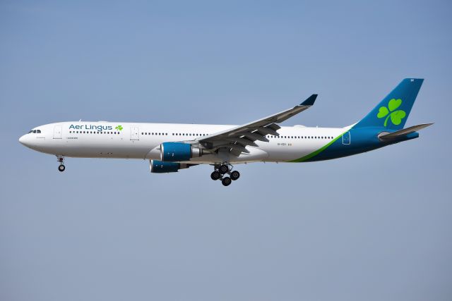 Airbus A330-300 (EI-EDY)