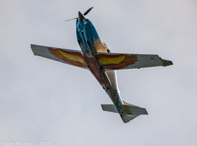 Lancair Lancair 4 (N214DK) - Bald Eagle in the Sky over my house.