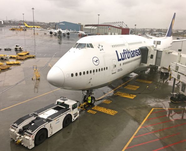 BOEING 747-8 (D-ABYF) - getting ready for pushback