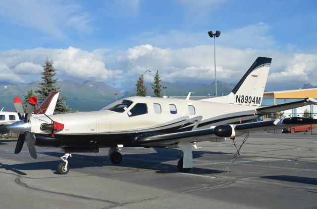 Socata TBM-700 (N8904M) - Transient parking at Merril Field