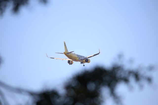 Airbus A320neo (N935NK)