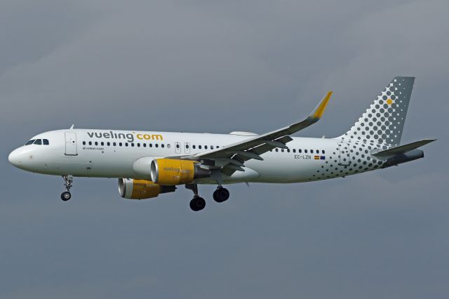 Airbus A320 (EC-LZN)