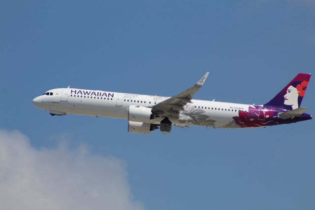 Airbus A321neo (N208HA) - Clutters Park LAX