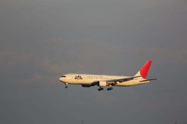 BOEING 767-300 (JA612J)