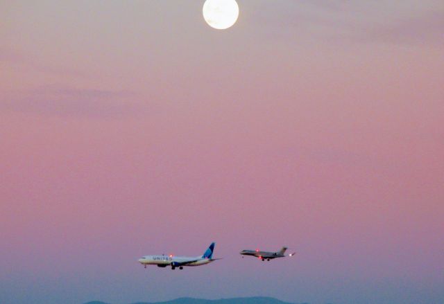 Boeing 737-800 — - United Airlines 737 and a Bombardier Challenger private jet landing on parallel runways at SFO