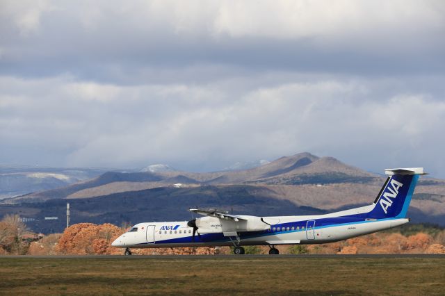 de Havilland Dash 8-400 (JA845A) - November 24, 2024:HKD-CTS.