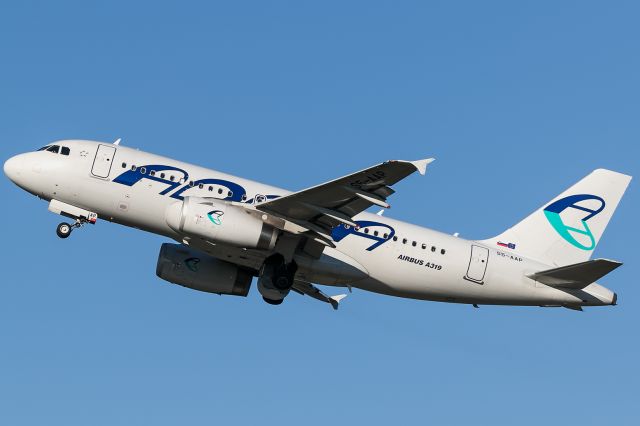 Airbus A319 (S5-AAP)