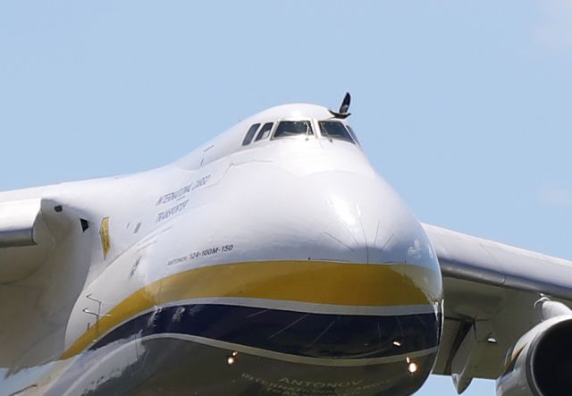 Antonov An-124 Ruslan (UR-82009) - Le pigeon a eu chaud à des plumes au landing de Nantes le 24 juin 2016