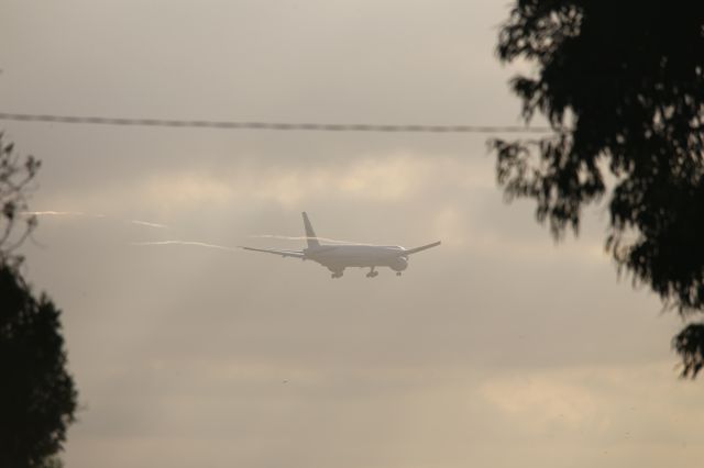 BOEING 777-300ER (B-2043)