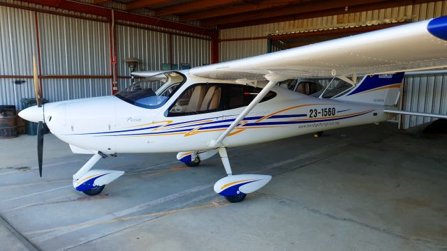 TECNAM P-2008 (R1560)