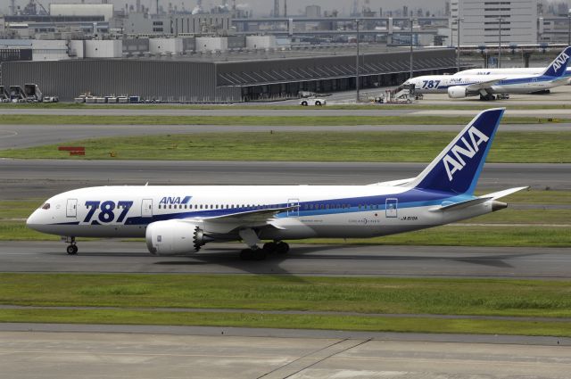 Boeing 787-8 (JA819A) - Taxing at Haneda Intl Airport on 2013/07/20