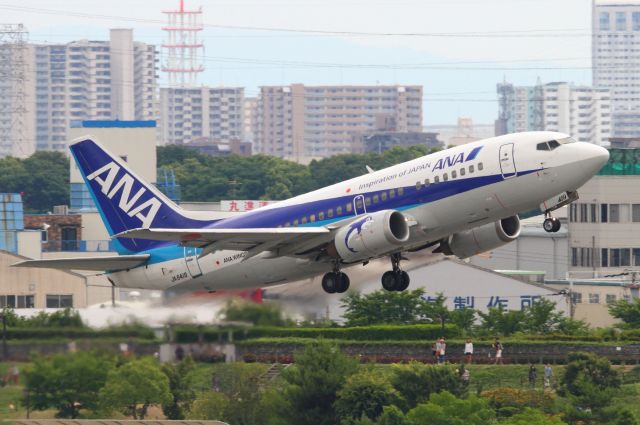 Boeing 737-500 (JA8419)