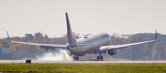 Boeing 737-900 (N81449)