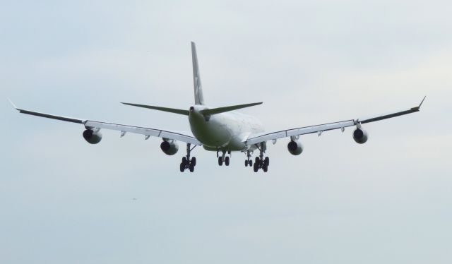 D-AIFA — - Shown here is what happens when your asked to leave your viewing area seconds too soon. So I have the passing view of a Lufthansa 5 Star Airbus A340-400 as it approaches the runway for a landing in the Spring of 2017. Vaguely in the scene under the left in board engine is another Jet climbing out.  