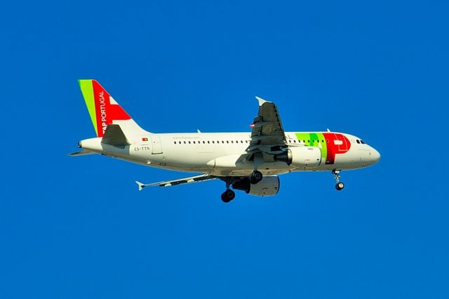 Airbus A319 (CS-TTN) - 2011