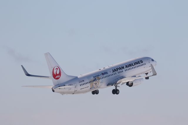 Boeing 737-800 (JA327J) - 30 December 2015: HKD-HND.