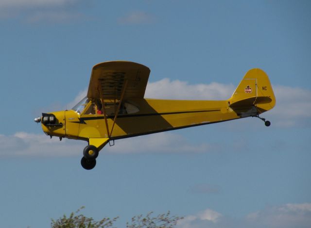 Piper NE Cub (N98286) - Cub coming in for a landing at Red Stewart.