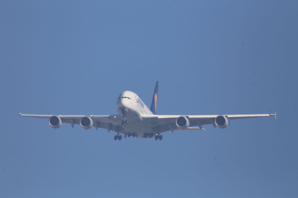 Airbus A380-800 (D-AIMM)