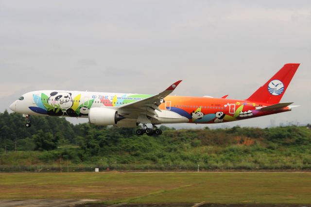 Airbus A350-900 (B-301D) - Sichuan Airlines Panda livery.br /The weather wasnt good.br /TIPS:Select full-size and wait for a while for better view.