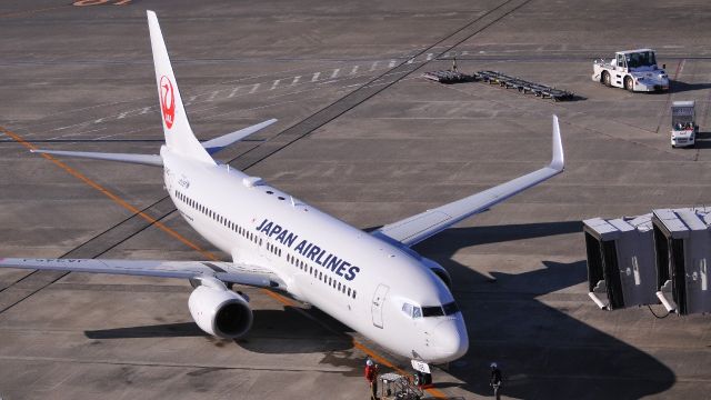 Boeing 737-800 (JA345J)