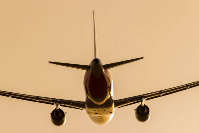 Airbus A319 (EC-KOY)