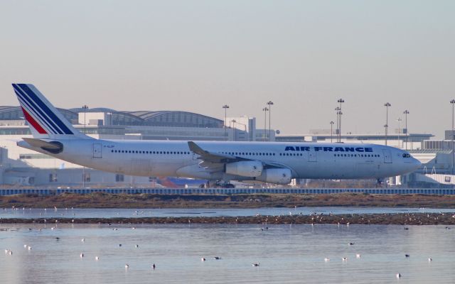 Airbus A340-300 (F-GLZP)