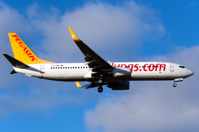 Boeing 737-800 (TC-AMP)