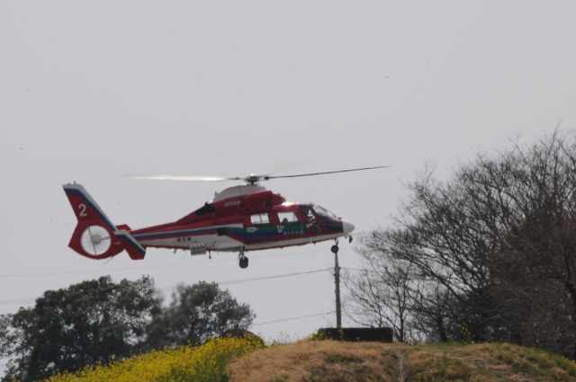 JA31KN — - 18.Mar.2017br /HONDA Airport @Saitama Japanbr /Eurocopter AS365N3 Dauphin 2