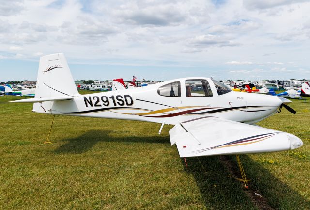 Vans RV-10 (N291SD)