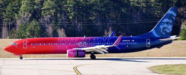 Boeing 737-900 (N493AS) - More To Love visiting RDU for Windmageddon! Got blown around a bit too, but thats OK, shes just fine, and Chester is giving the A-OK.  From the RDU observation deck, 3/2/18.