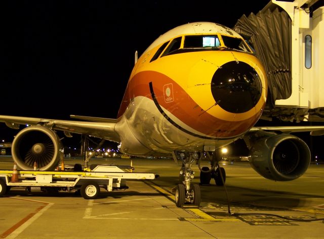 Airbus A319 (N742PS) - The big grin!