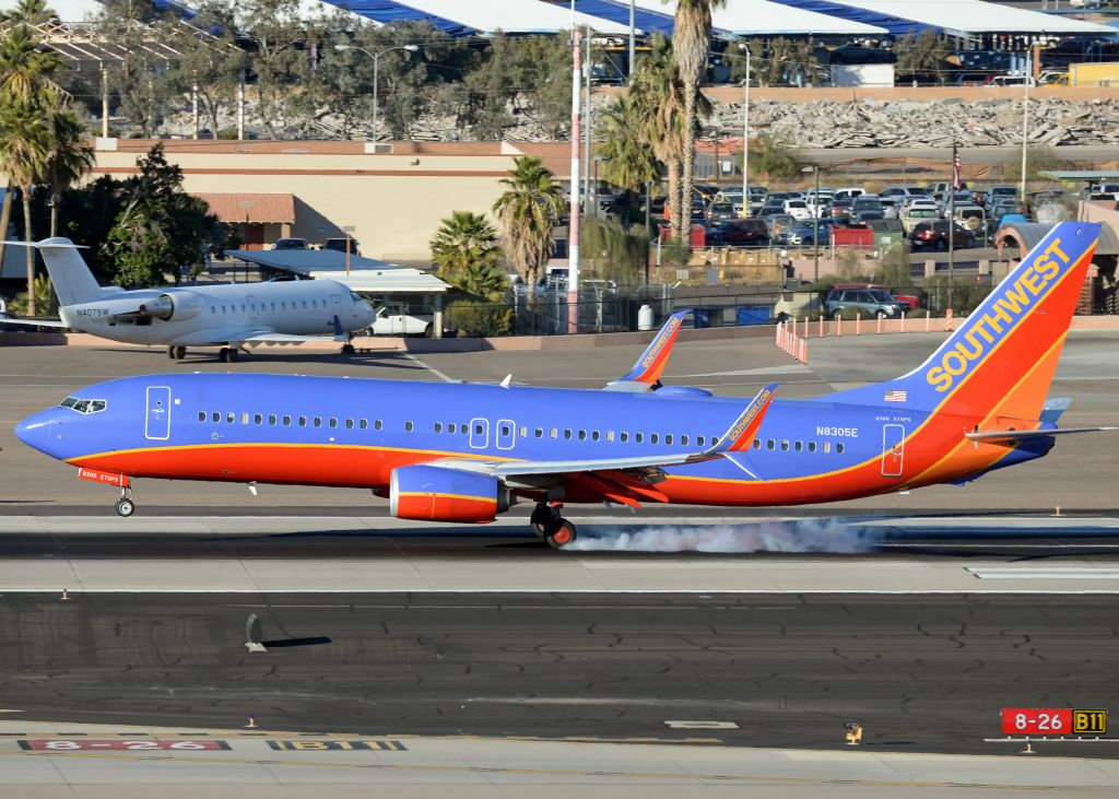 Boeing 737-800 (N8305E)