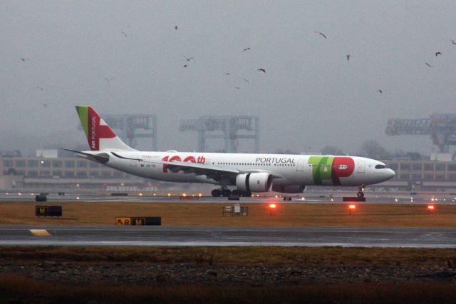 Airbus A330-900 (CS-TUI) - TAP A339 with 100th aircraft sticker arriving to BOS while a flock of birds seen departing on 1/2/22.