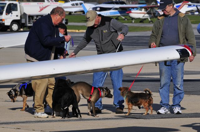 ARF — - Seen at KFDK on 11/7/2009.  This was a gathering & transfer point for pilots rescuing animals from South Carolina to various points in the northeast.  Most of these animals were within days of being euthanized at a kill-shelter. Its a wonderful organization that saves the lives of countless dogs & cats.  http://www.animalrescueflights.org/    a href=http://discussions.flightaware.com/profile.php?mode=viewprofile&u=269247  [ concord977 profile ]/a