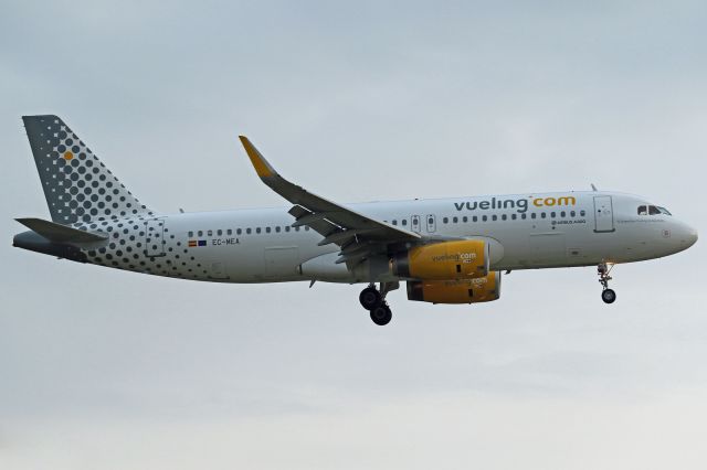 Airbus A320 (EC-MEA)