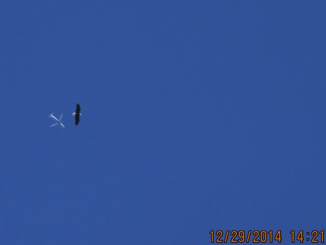 Airbus A320 (N662JB) - Jet Blue flight 514 from LGB to JFK over Southeastern Kansas at 35,000 feet with a Bald Eagle flying in the frame. 