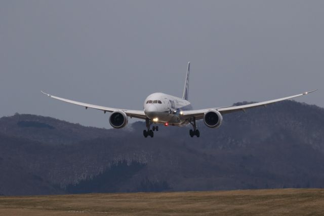 Boeing 787-8 (JA817A) - 04 January 2016:HND-HKD.