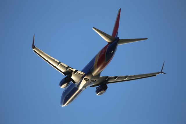 Boeing 737-800 (N8569Z)