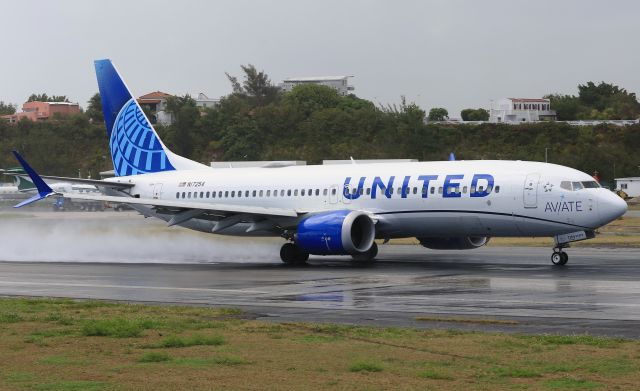 Boeing 737 MAX 8 (N17254)