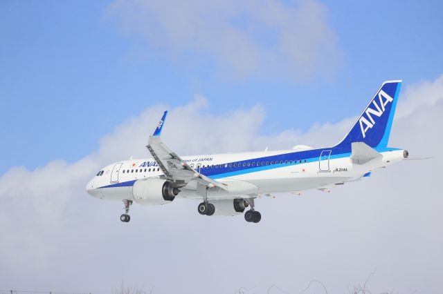 Airbus A320 (JA214A) - February 27th 2021:HND-HKD.