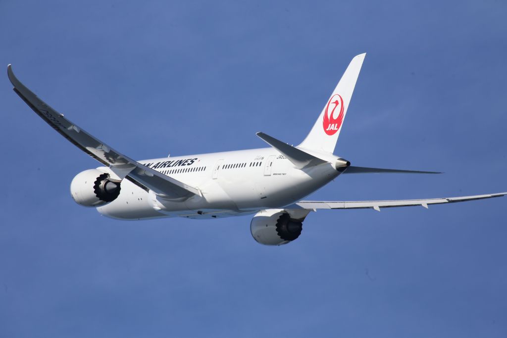 Boeing 787-8 (JA835J)