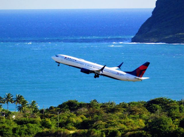 Boeing 737-900 (N838DN)