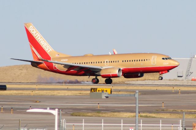 Boeing 737-700 (N714CB) - Southwest Retro B737 landing on 17R.