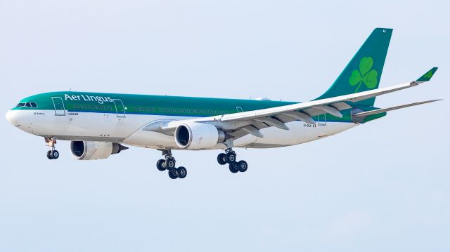 Airbus A330-200 (EI-DAA)