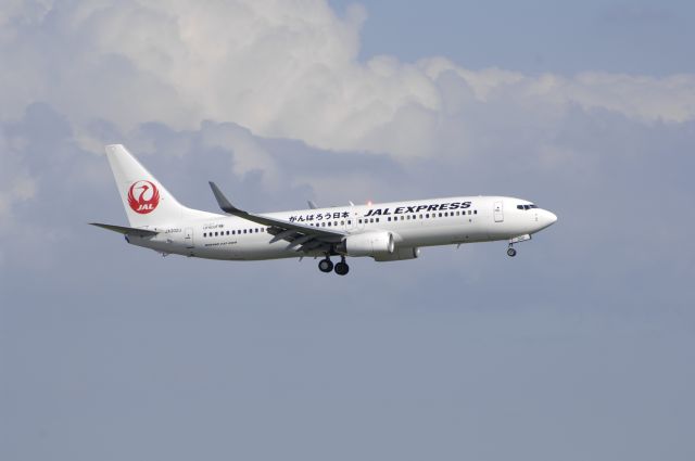 Boeing 737-800 (JA302J) - Final Approach to HND Airport R/W22 on 2011/09/12 Gannbarou Nippon Title