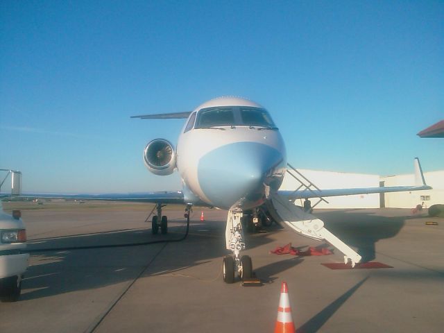 Gulfstream Aerospace Gulfstream IV (N236MJ) - Nose of Michael Jordans G4 in Houston on 2-15-09. Thank you again crew for letting us come up and check her out. Sweet ride.