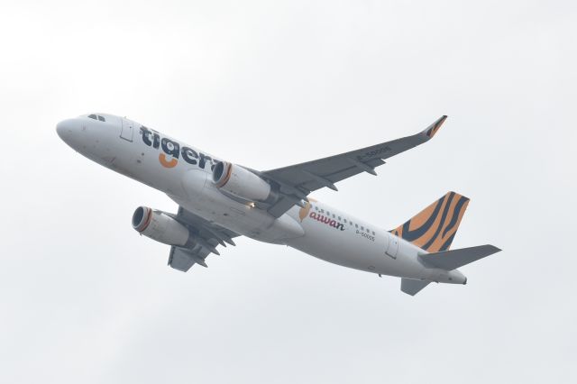 Airbus A320 (B-50005)