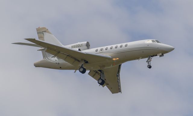 Dassault Falcon 50 (N600LY) - Runway 02L arrival @KDPA. One ugly paint job IMO.