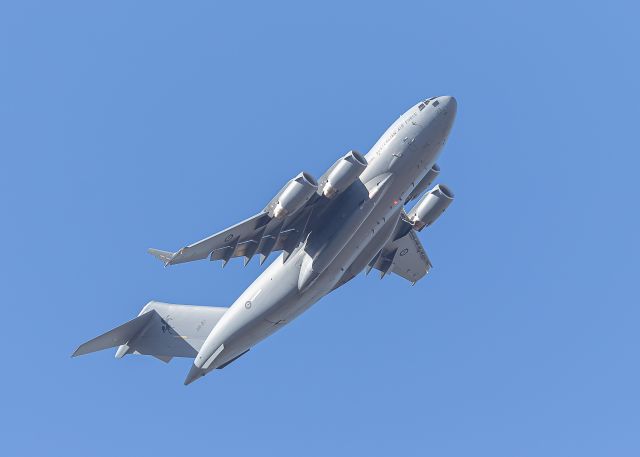 Boeing Globemaster III (A41213)